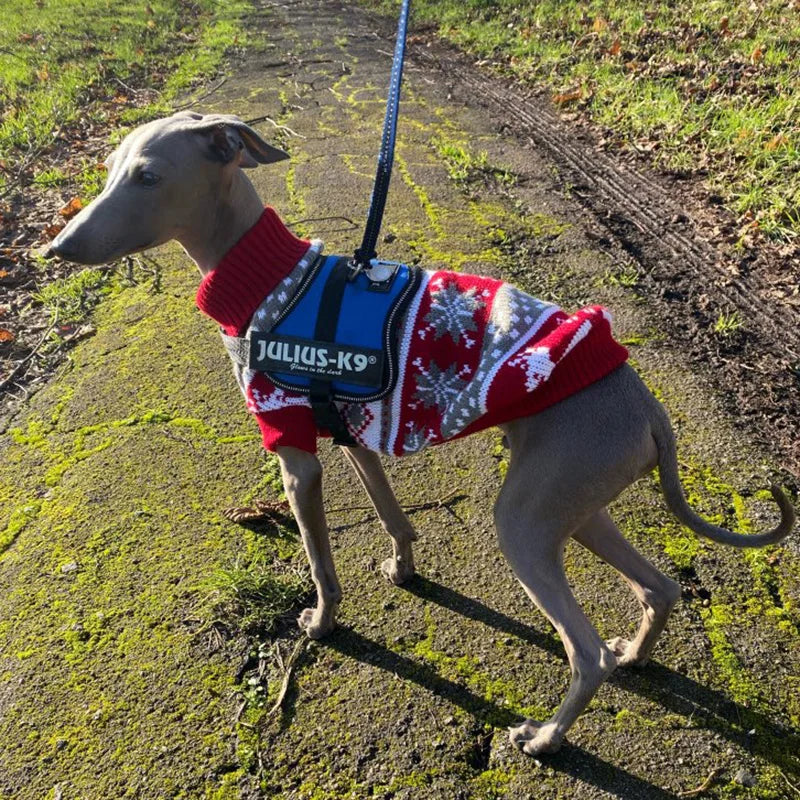 Cozy Cartoon Pet Dog Sweater for Small Dogs - Perfect for Winter Warmth and Style!