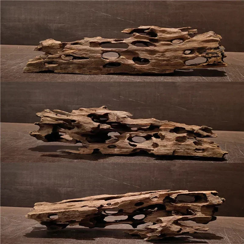 Natural Porous Wooden Driftwood for Aquariums - Unique Fish Tank Decoration for Crabs, Shrimp, and Fish