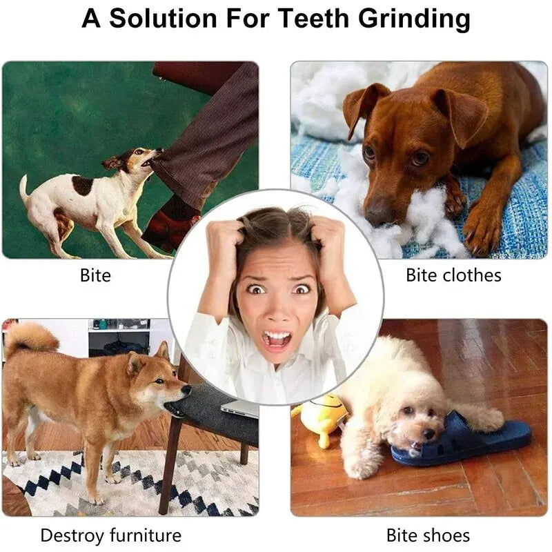 Bounce & Chew: Nontoxic Rubber Dog Toy Ball for Happy, Healthy Playtime!