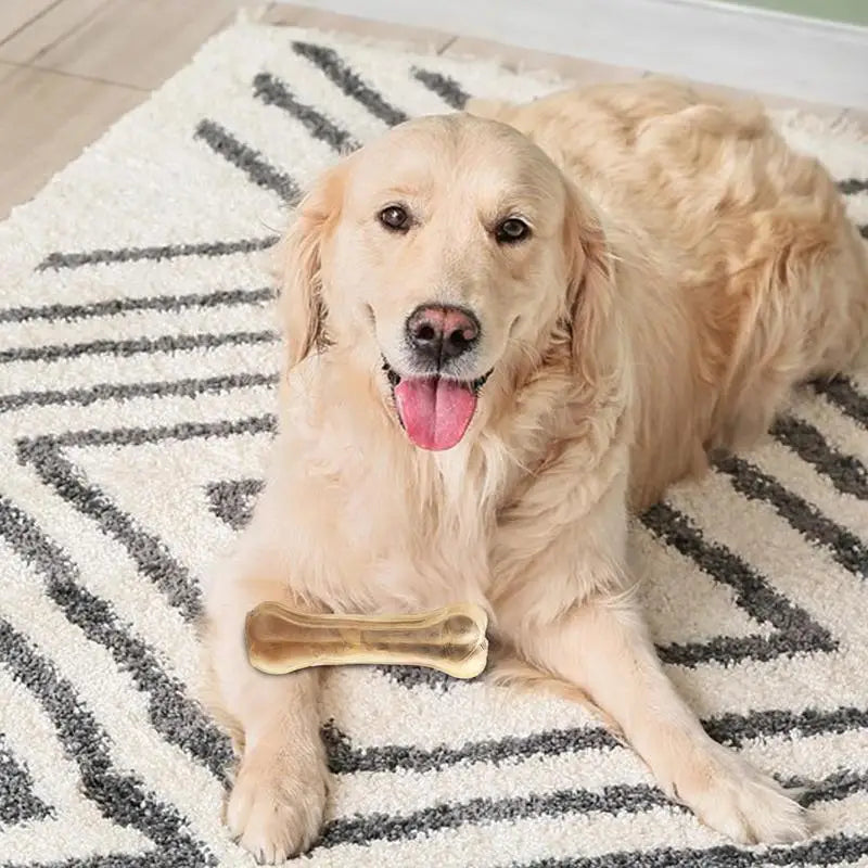 Irresistible Dog Teething Bone - Beef Flavor, Safe & Durable Chew Toy for Medium Dogs