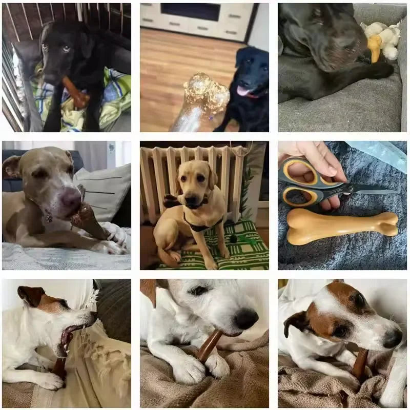 Indestructible Natural Dog Bone Chew Toy - Non-Toxic Anti-Bite Solution for Small, Medium, and Large Dogs