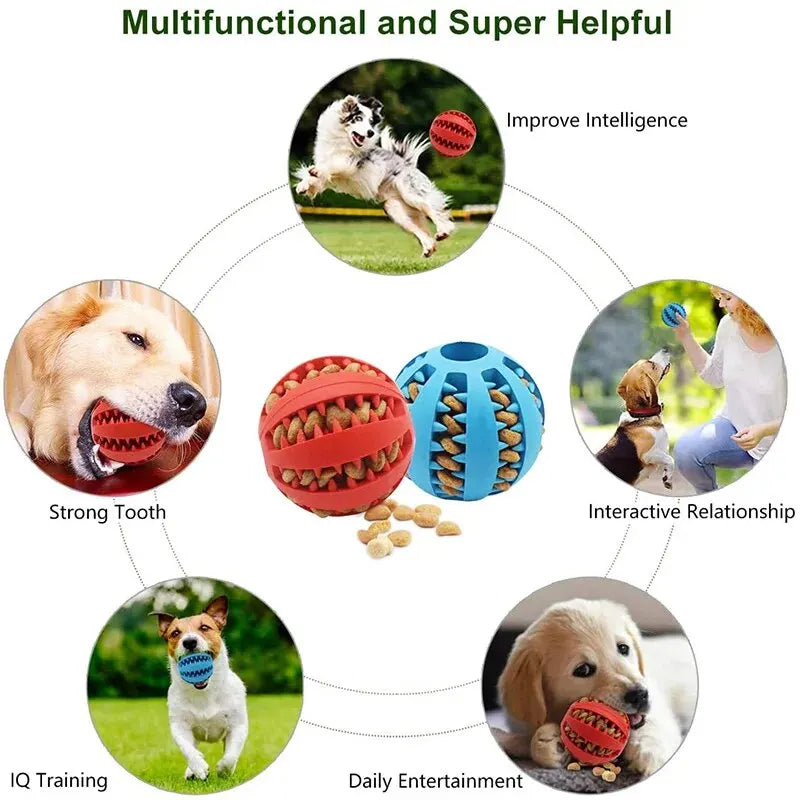 Bounce & Chew: Nontoxic Rubber Dog Toy Ball for Happy, Healthy Playtime!