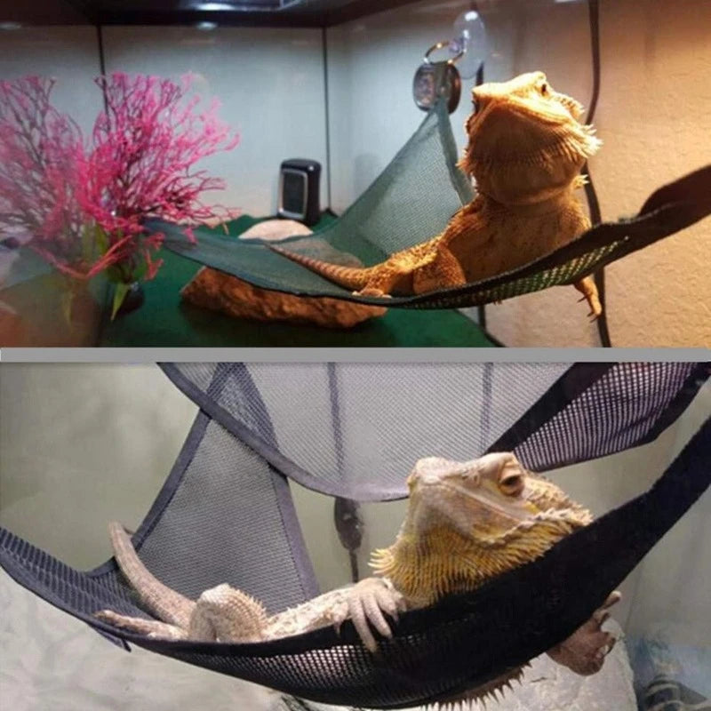 Ultimate Reptile Hammock Lounger Set for Bearded Dragons, Anoles, Geckos, and Snakes - Perfect for Small and Large Pets!