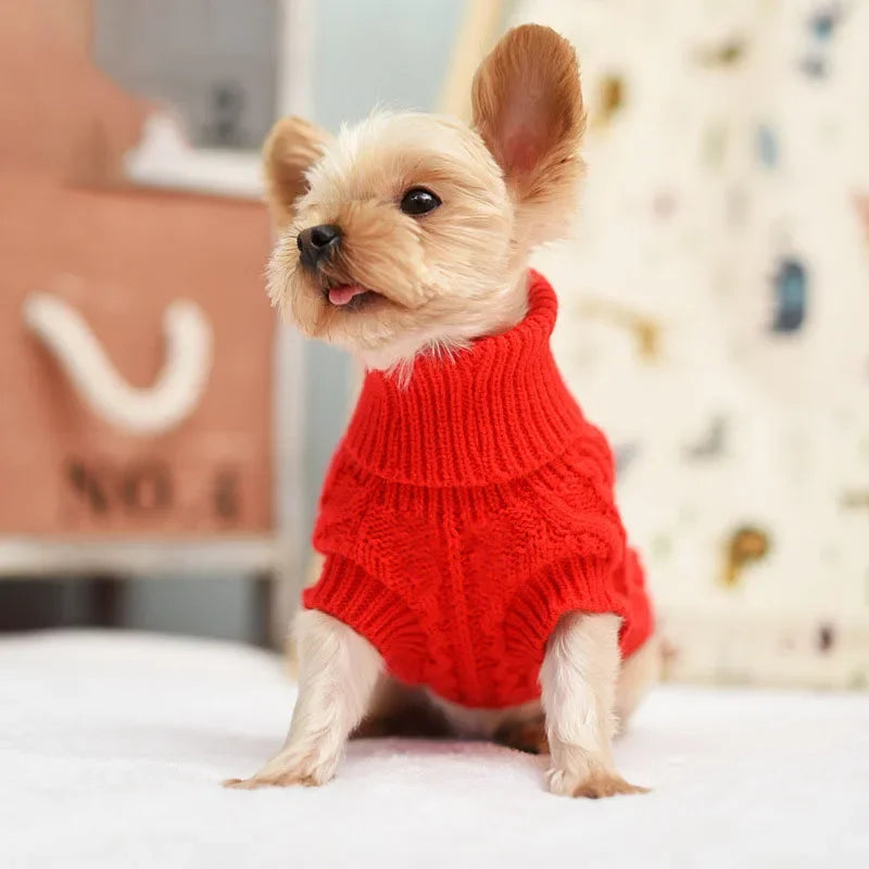 Cozy Knitted Dog Sweater for Small to Medium Breeds - Perfect Winter Wear for Your Chihuahua and Yorkshire Terriers