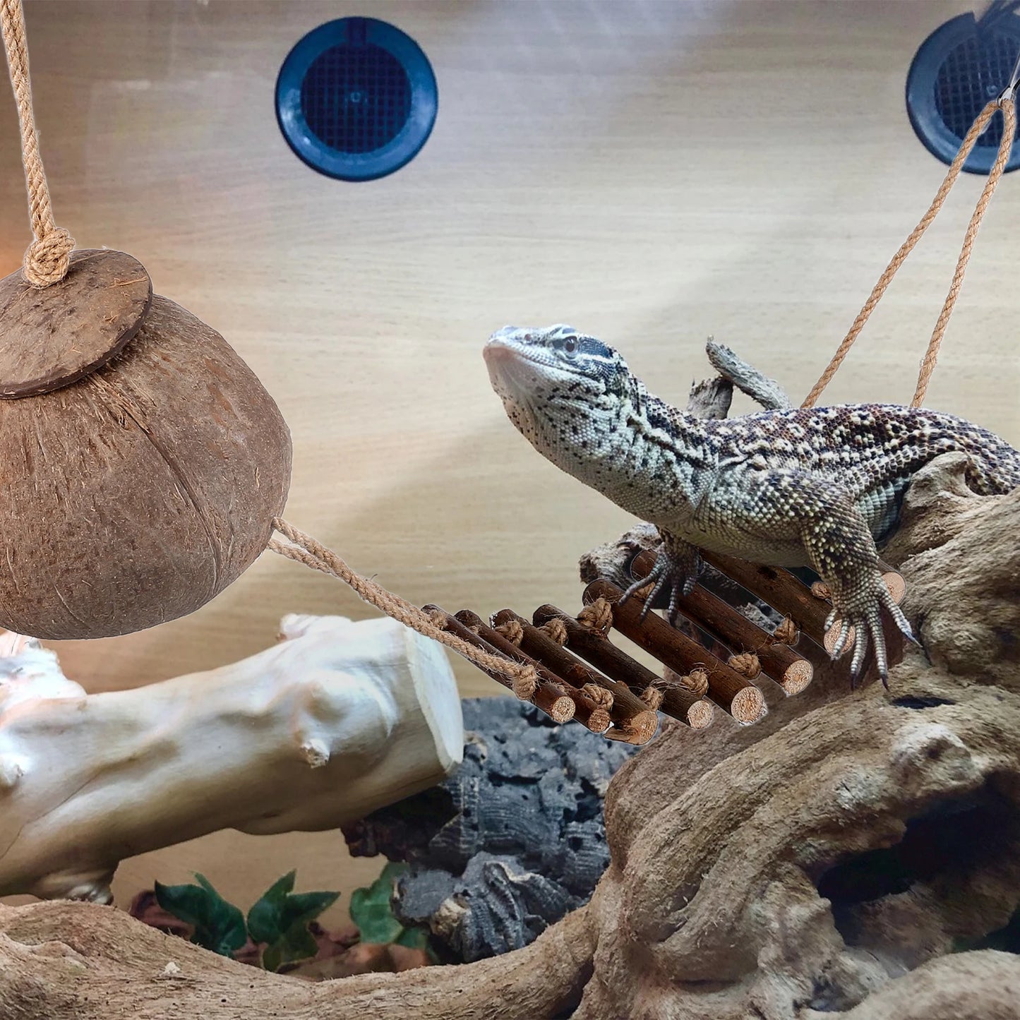 Coconut Cave Hideout for Reptiles - Cozy Ladder Accessory for Crested Geckos and Small Pets