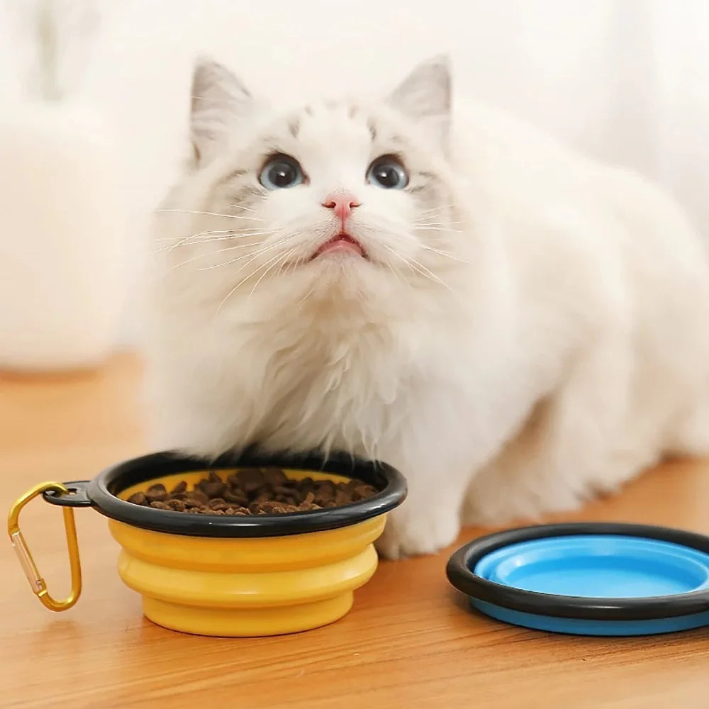 Ultimate Travel Companion: Folding Silicone Dog Bowl with Carabiner for Convenient Outdoor Feeding