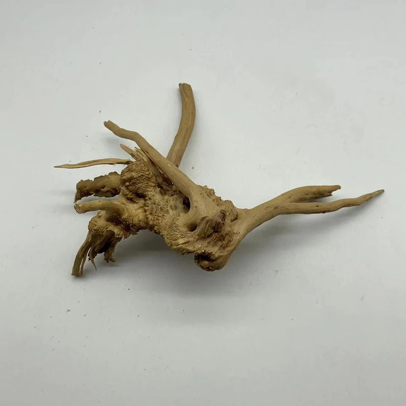Transform Your Aquarium with Natural Tree Trunk Driftwood - Stunning Plant Wood Decoration for Fish Tanks