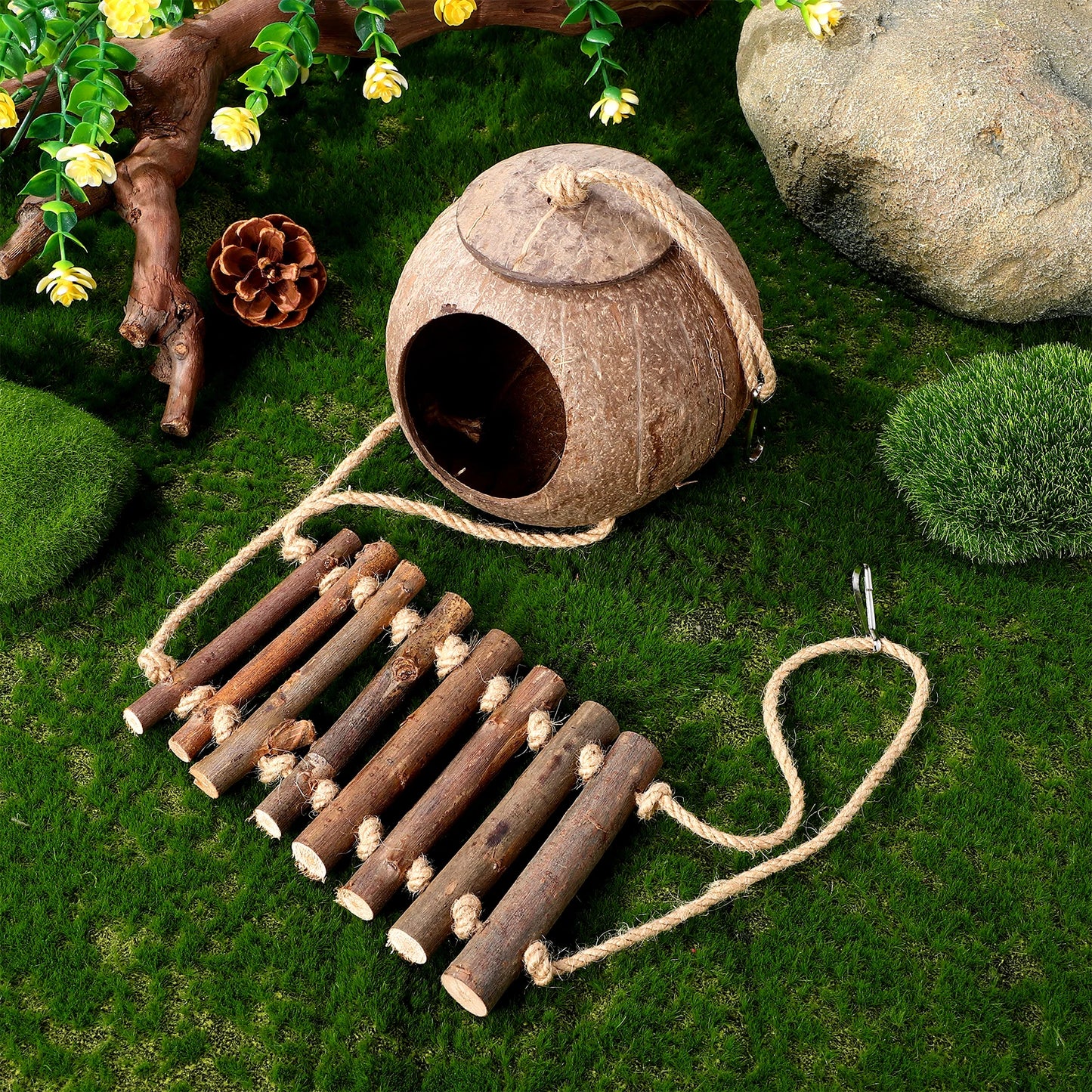 Coconut Cave Hideout for Reptiles - Cozy Ladder Accessory for Crested Geckos and Small Pets