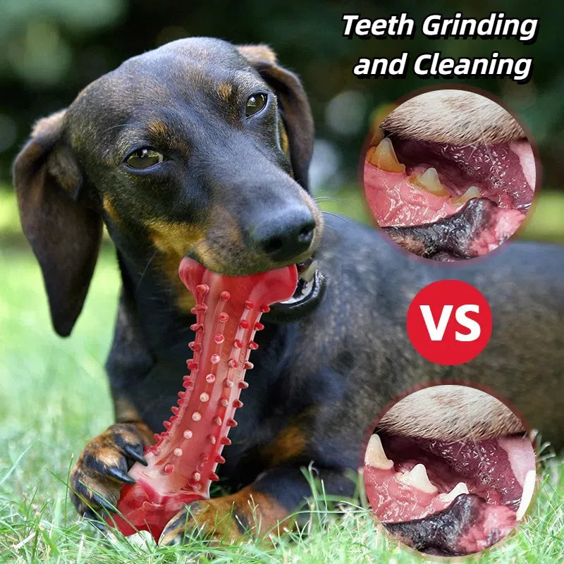 Unbreakable Beef-Flavored Chew Toys for Large Dogs - Perfect for Aggressive Chewers and Dental Health