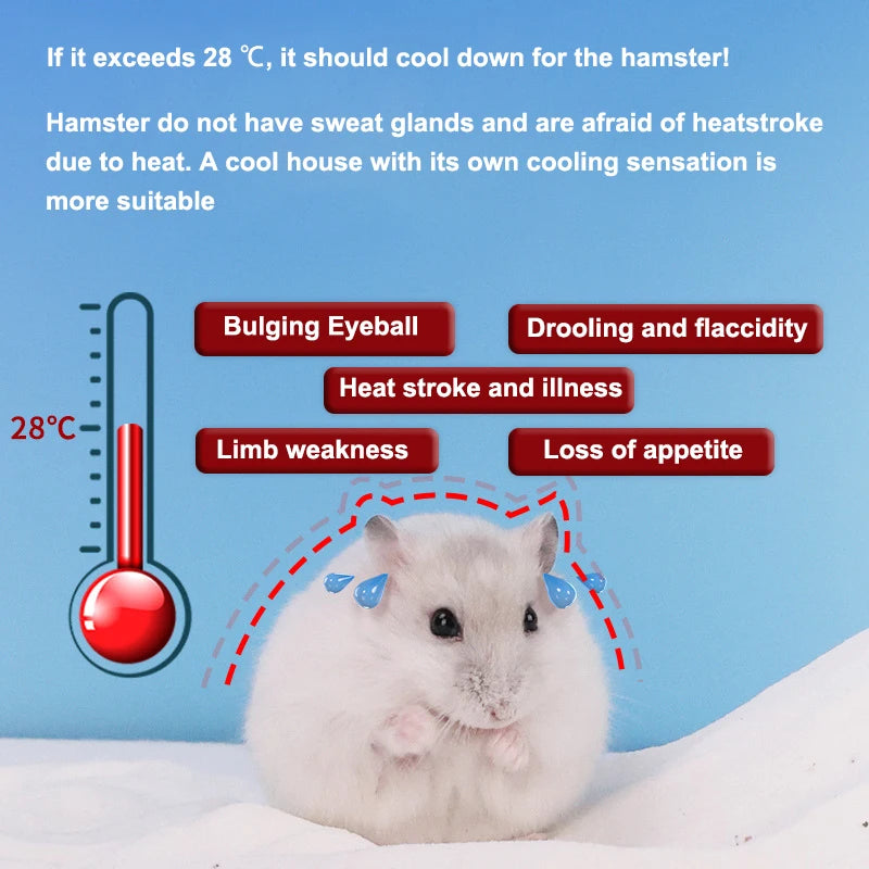 Cool Comfort for Your Furry Friend: The Golden Bear Hamster Ice House - A Summer Shelter for Small Pets