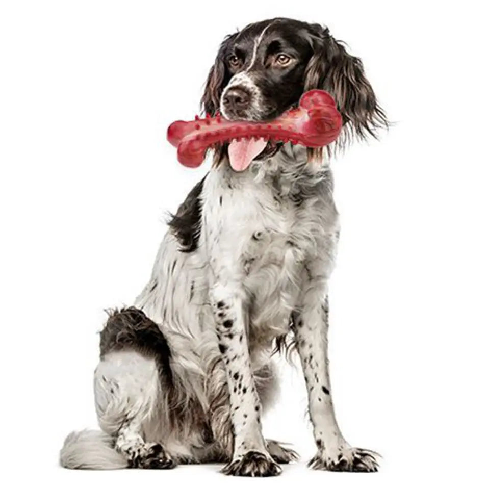 Unbreakable Beef-Flavored Chew Toys for Large Dogs - Perfect for Aggressive Chewers and Dental Health