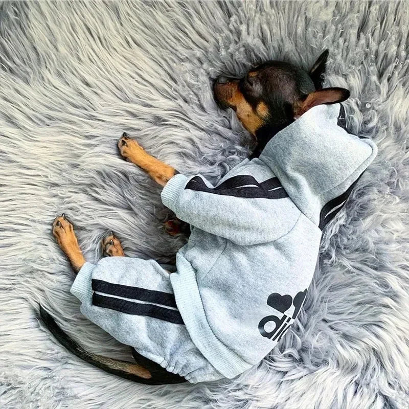 Chic and Cozy Pet Jumpsuit for Small to Medium Dogs - Perfect for French Bulldogs, Chihuahuas, and Pugs!