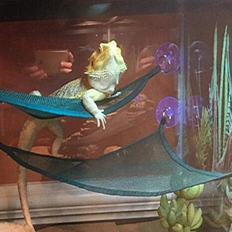Ultimate Reptile Hammock Lounger Set for Bearded Dragons, Anoles, Geckos, and Snakes - Perfect for Small and Large Pets!