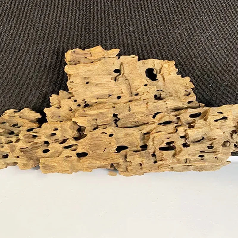 Natural Porous Wooden Driftwood for Aquariums - Unique Fish Tank Decoration for Crabs, Shrimp, and Fish