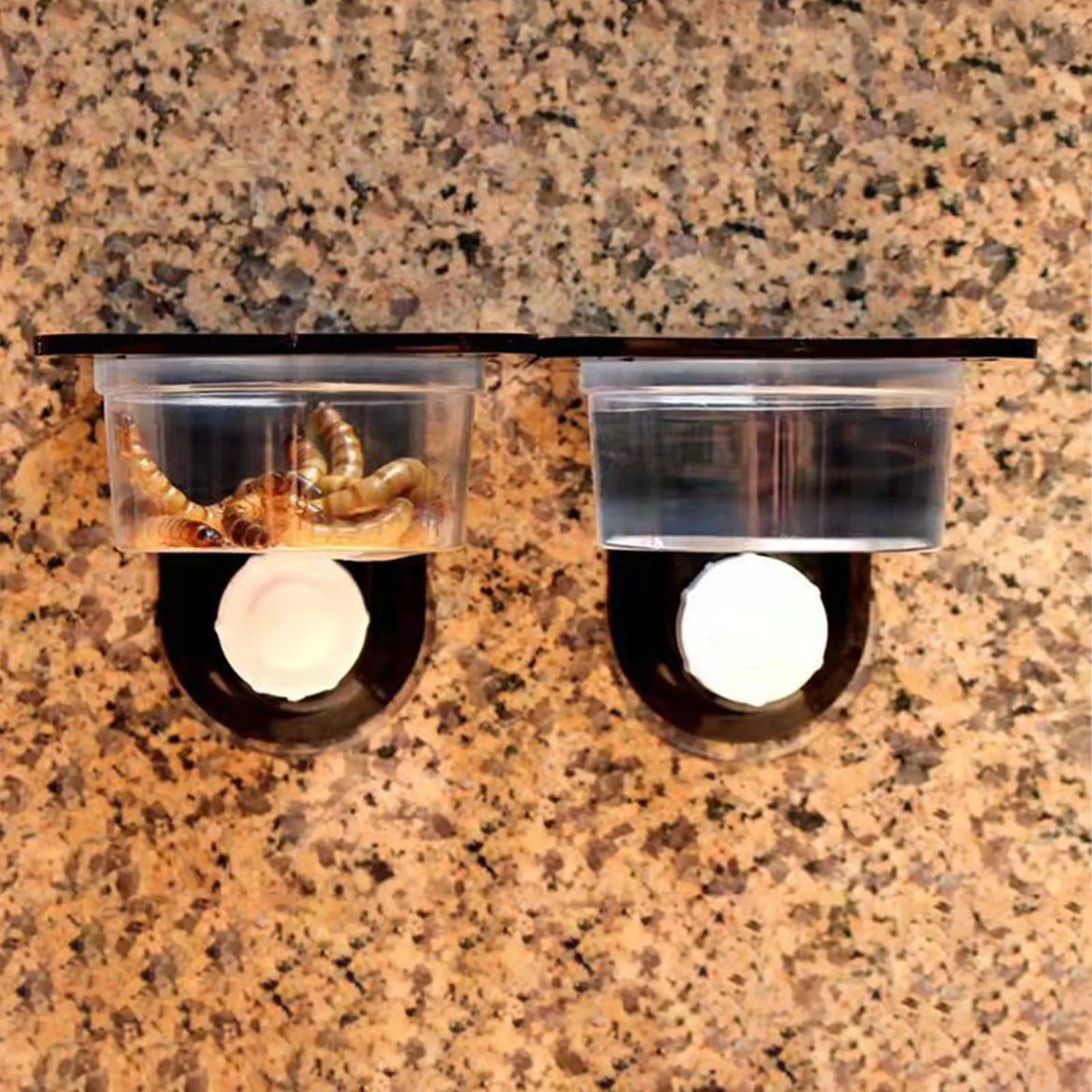 Space-Saving Black Plastic Gecko Feeder Ledge - Essential Feeding Solution for Lizards and Geckos