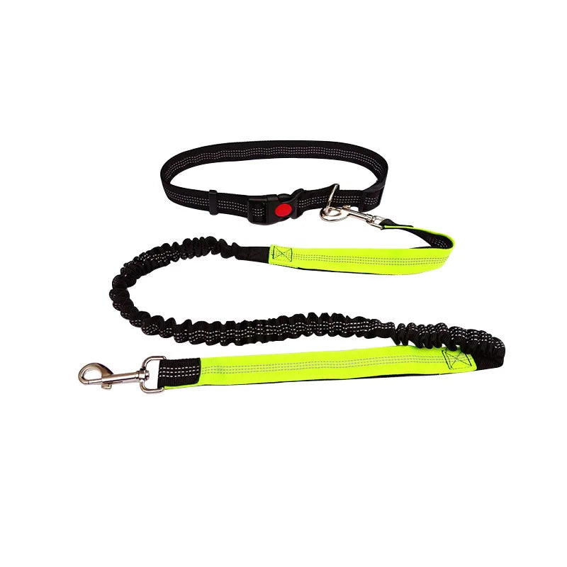 Experience Ultimate Freedom with Our Adjustable Hands-Free Dog Leash - Perfect for Walking, Running, and Jogging!