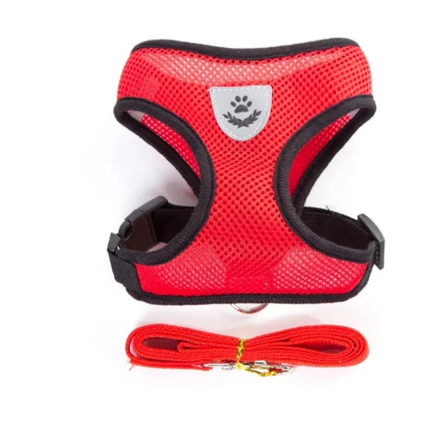 Adjustable Reflective Cat and Dog Harness with Leash - Breathable Mesh Vest for Ultimate Comfort and Safety