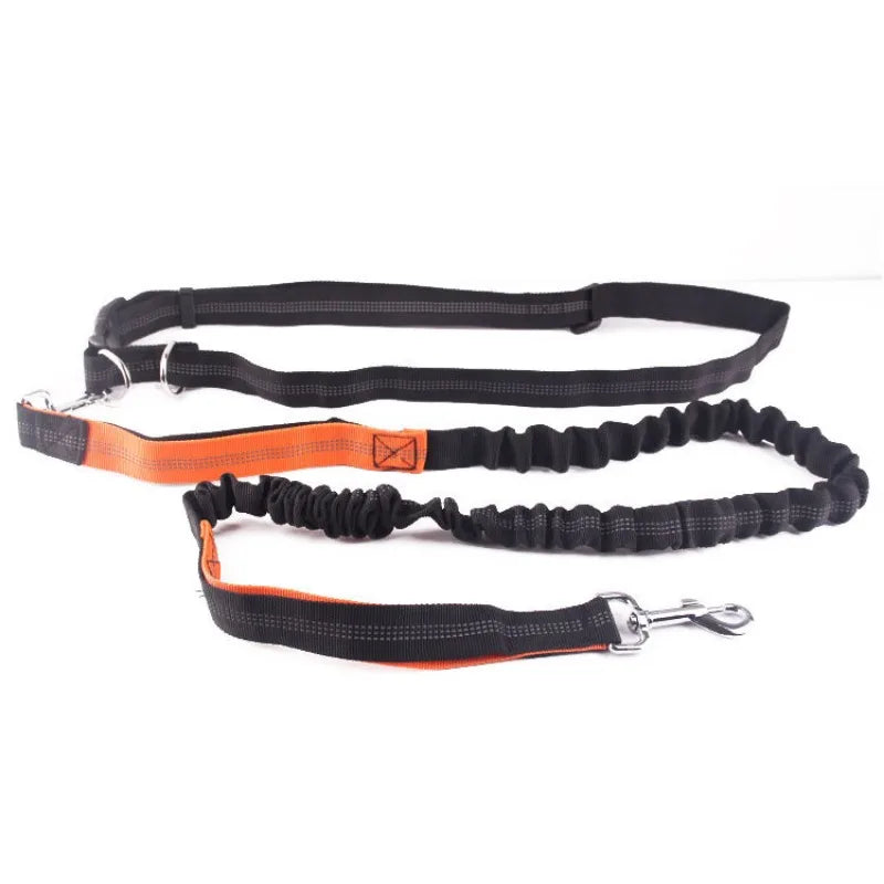 Experience Ultimate Freedom with Our Adjustable Hands-Free Dog Leash - Perfect for Walking, Running, and Jogging!