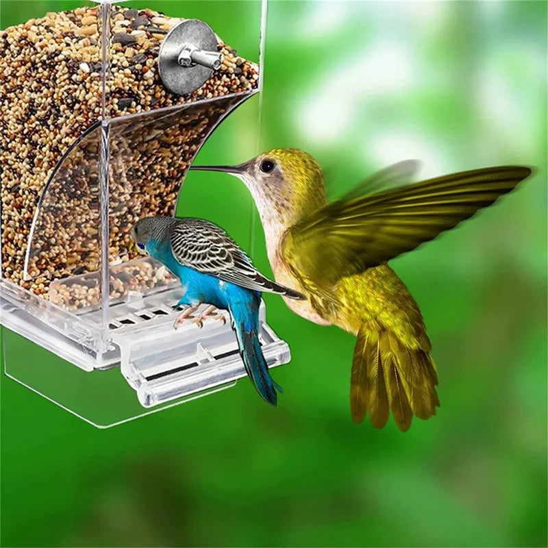Automatic Acrylic No Mess Bird Feeders - Perfect Parrot Drinker & Food Container for Budgerigars and Parakeets