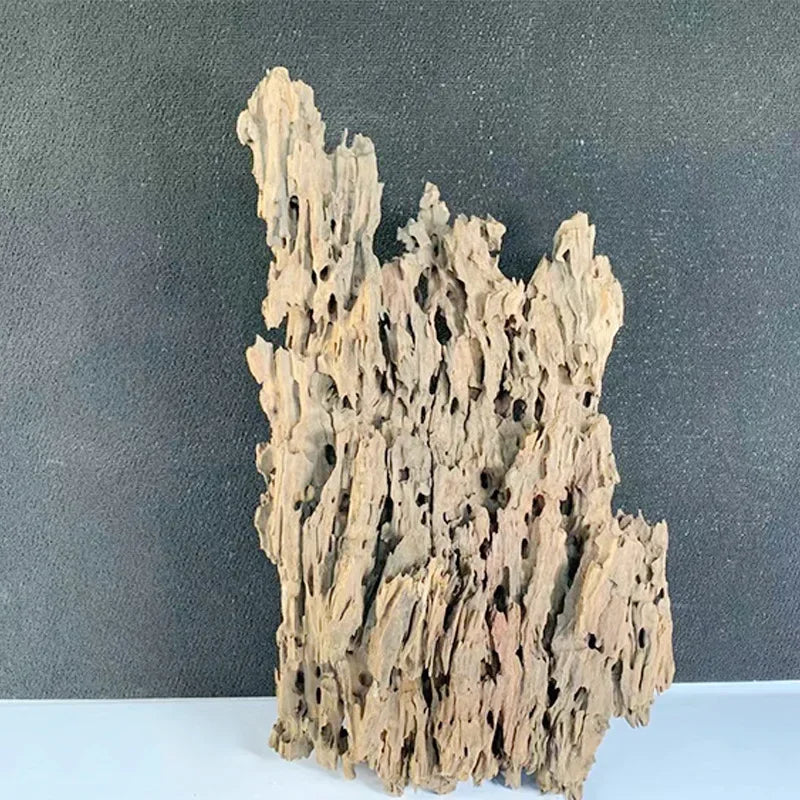 Natural Porous Wooden Driftwood for Aquariums - Unique Fish Tank Decoration for Crabs, Shrimp, and Fish
