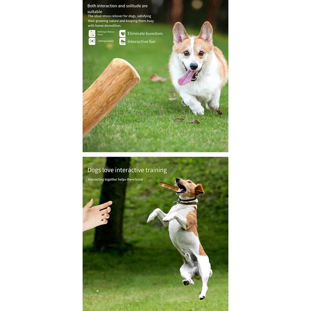 FZCSPEED Coffee Wood Dog Chew Toy - Durable Chew Stick for Tooth Pressure Relief and Endless Playtime