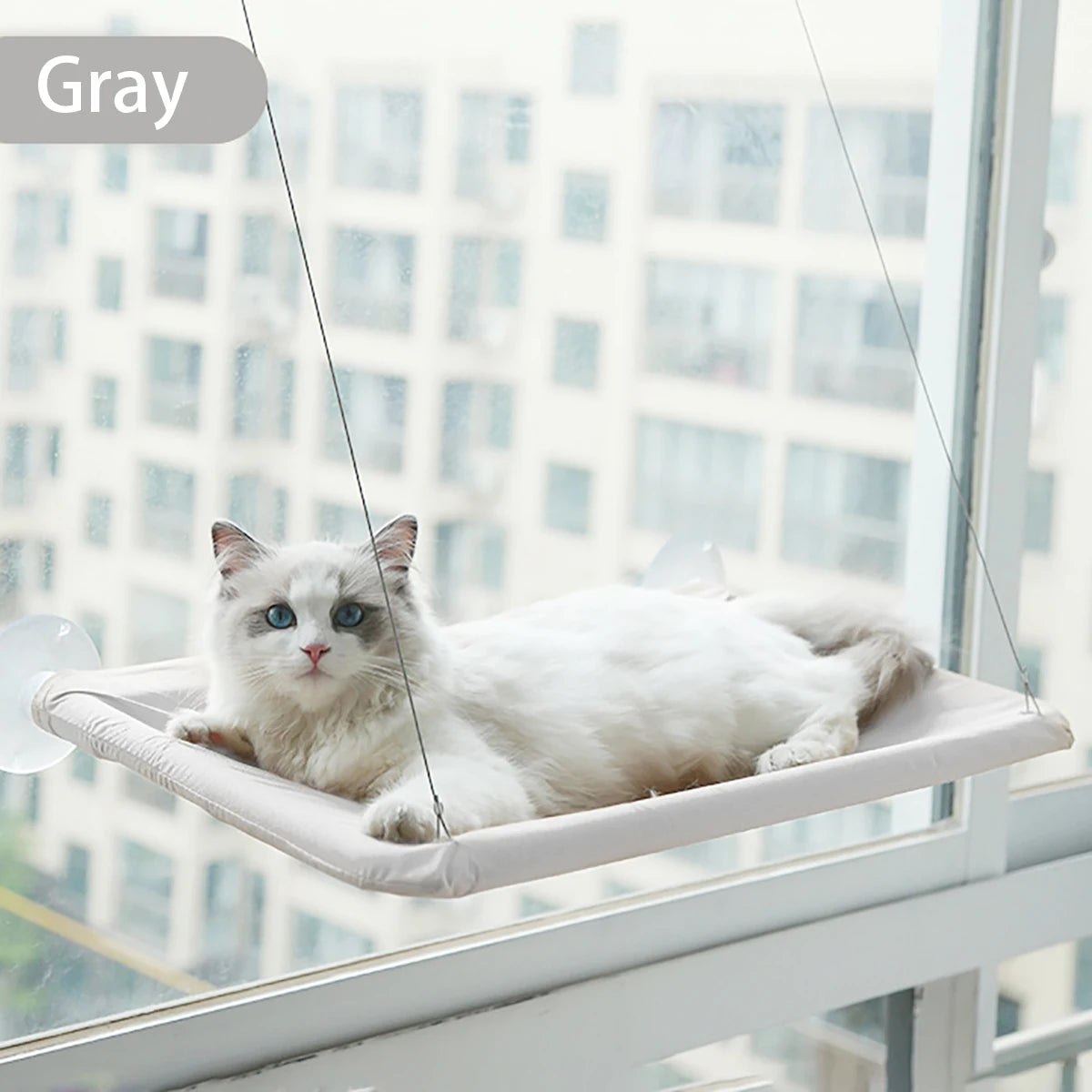 The Purr-fect Sunny Window Hammock: A Cozy Climbing Adventure for Your Feline Friend!