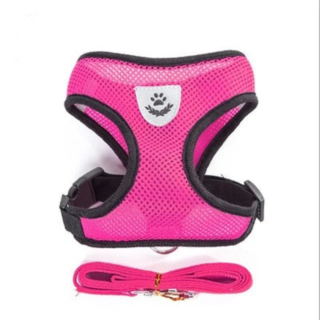 Adjustable Reflective Cat and Dog Harness with Leash - Breathable Mesh Vest for Ultimate Comfort and Safety