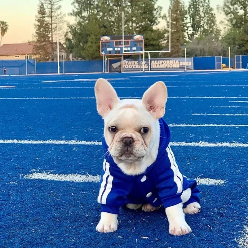 Chic and Cozy Pet Jumpsuit for Small to Medium Dogs - Perfect for French Bulldogs, Chihuahuas, and Pugs!