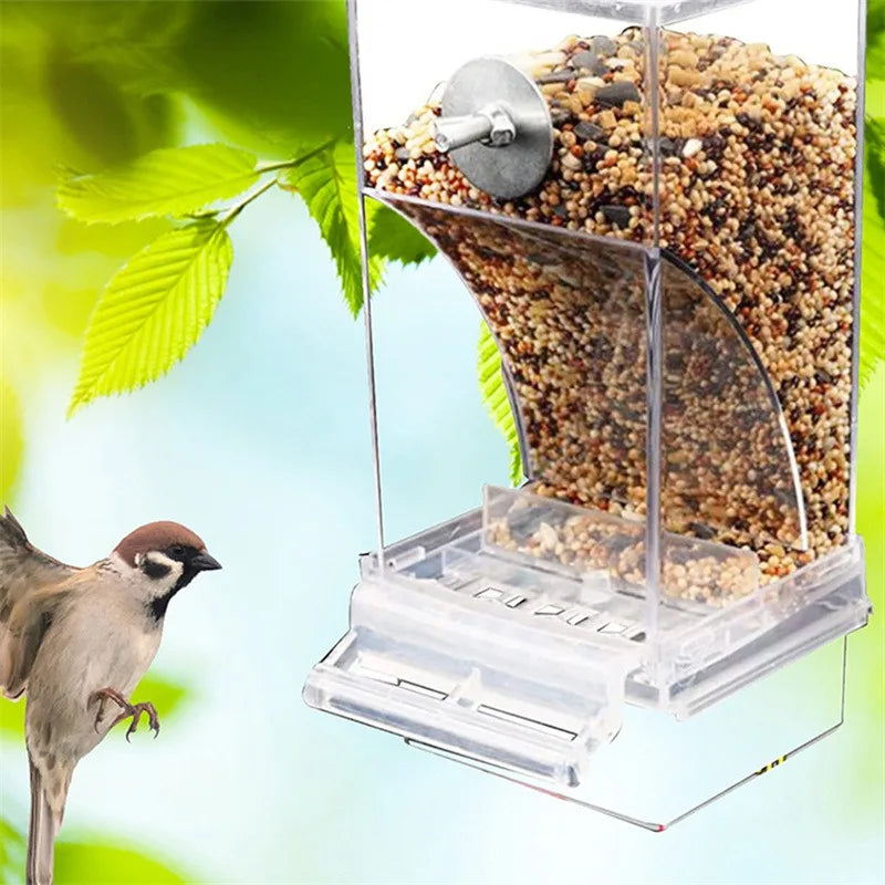 Automatic Acrylic No Mess Bird Feeders - Perfect Parrot Drinker & Food Container for Budgerigars and Parakeets