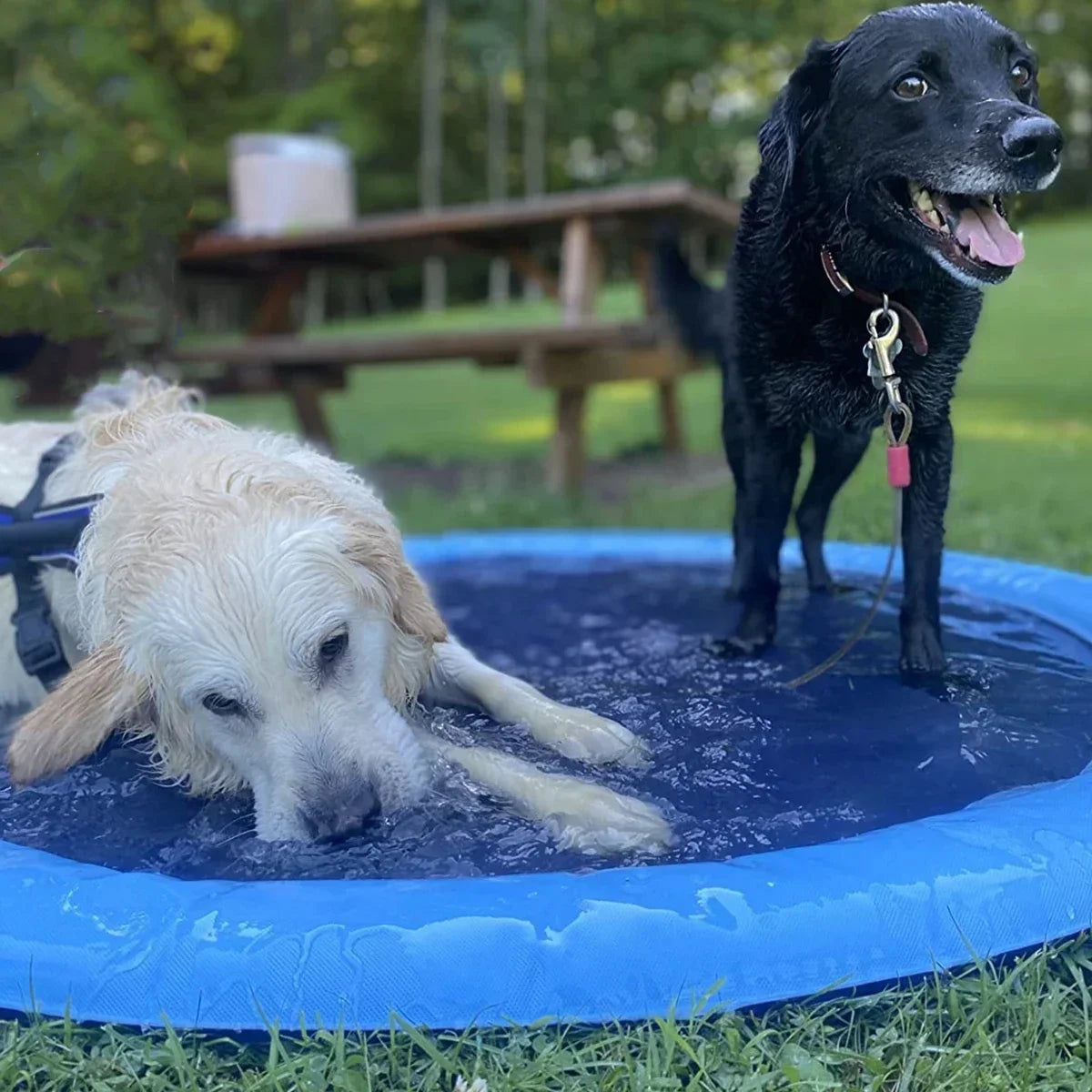 Ultimate Summer Fun for Your Furry Friend: Inflatable Pet Swimming Pool and Sprinkler Pad - Available in 100cm, 150cm, and 200cm Sizes!