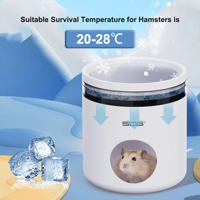 Cool Comfort for Your Furry Friend: The Golden Bear Hamster Ice House - A Summer Shelter for Small Pets