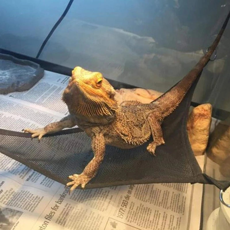 Ultimate Reptile Hammock Lounger Set for Bearded Dragons, Anoles, Geckos, and Snakes - Perfect for Small and Large Pets!