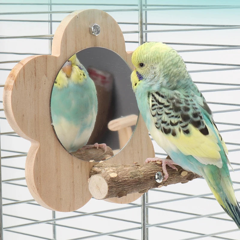 Natural Wood Bird Perch with Mirror - Perfect Stand for Parrots and Small Birds