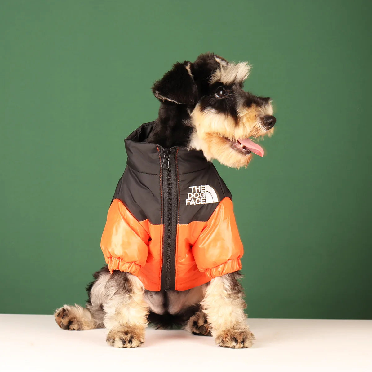 Cozy and Stylish Large Winter Dog Jacket - Perfect for French Bulldogs, Chihuahuas, and More!