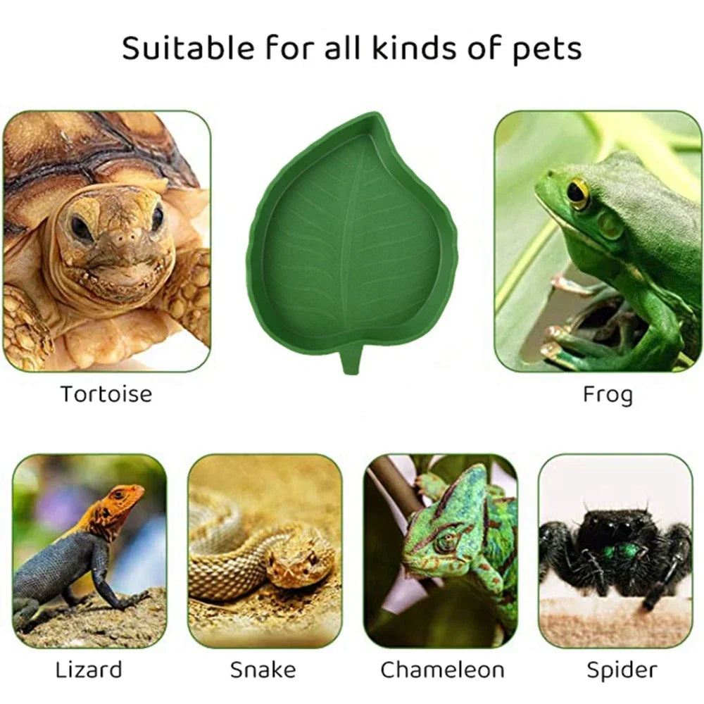 Leaf-Shaped Reptile Feeder Bowl for Turtles, Lizards, Hamsters, and Snakes – Perfect Pet Supply for Small Animals