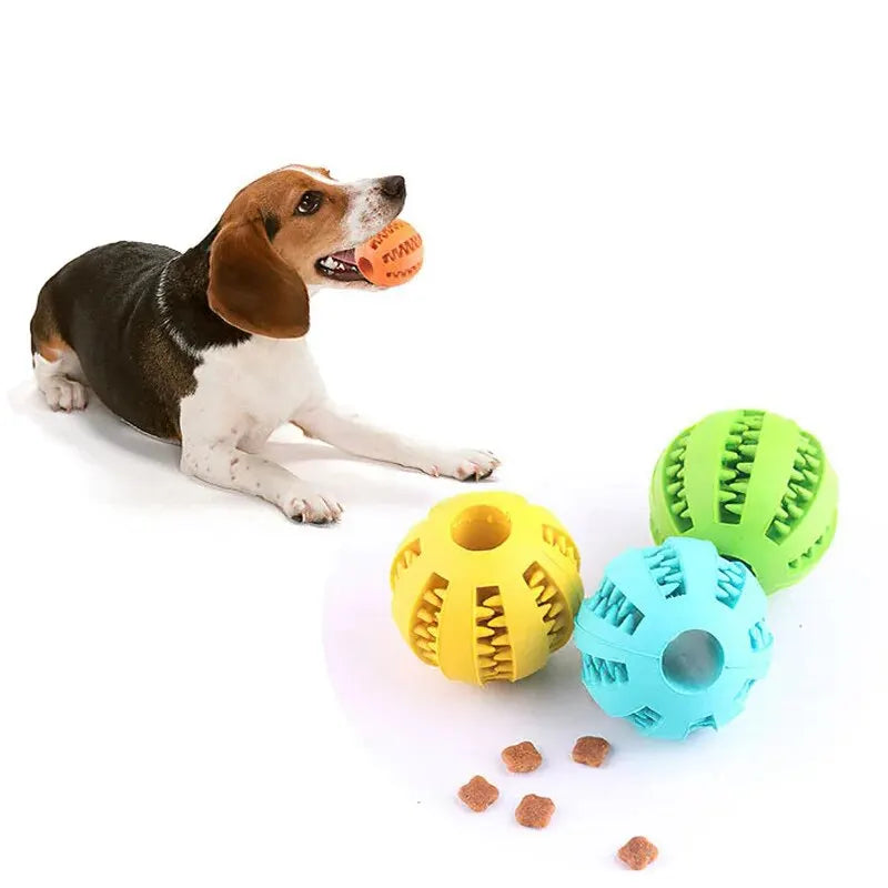 Bounce & Chew: Nontoxic Rubber Dog Toy Ball for Happy, Healthy Playtime!