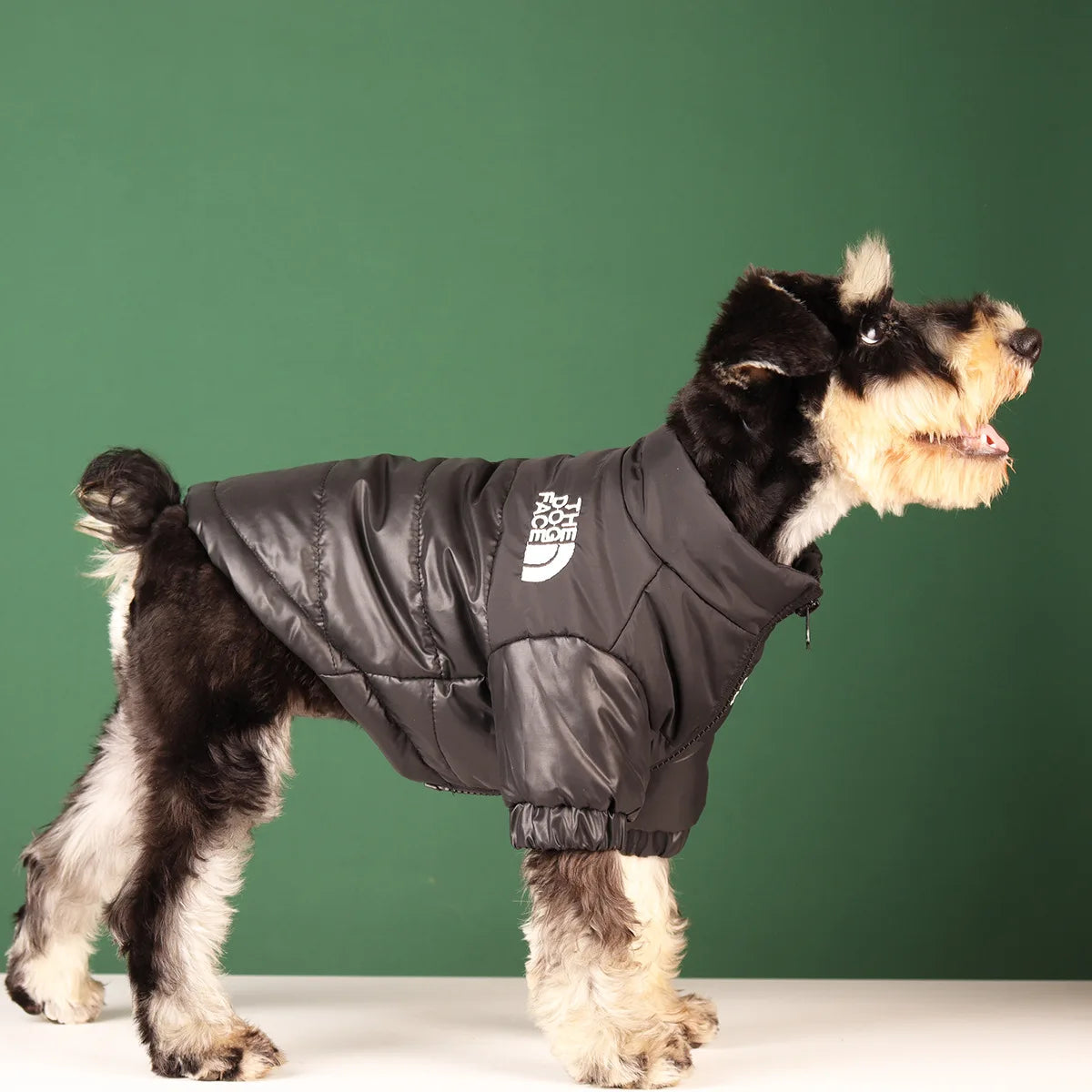 Cozy and Stylish Large Winter Dog Jacket - Perfect for French Bulldogs, Chihuahuas, and More!