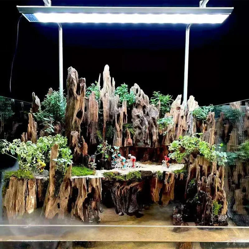 Natural Porous Wooden Driftwood for Aquariums - Unique Fish Tank Decoration for Crabs, Shrimp, and Fish