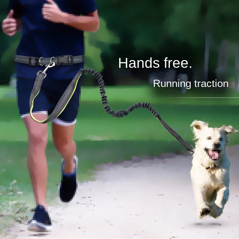 Experience Ultimate Freedom with Our Adjustable Hands-Free Dog Leash - Perfect for Walking, Running, and Jogging!