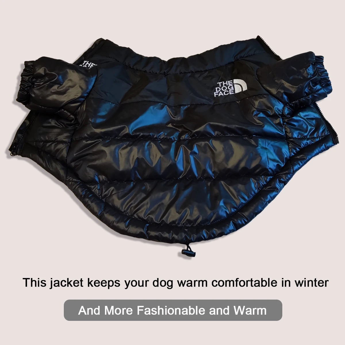 Cozy and Stylish Large Winter Dog Jacket - Perfect for French Bulldogs, Chihuahuas, and More!