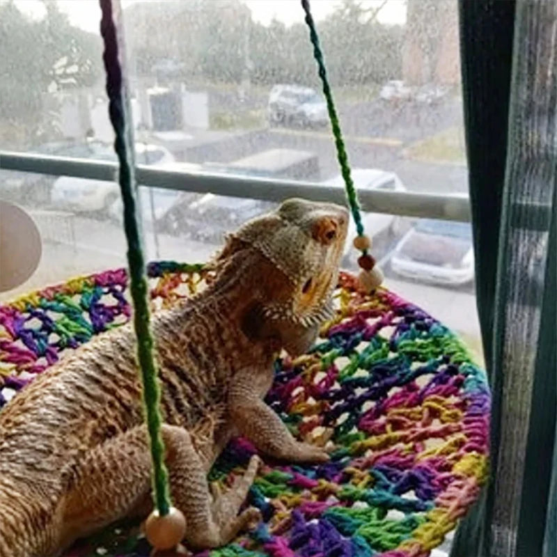 Ultimate Reptile Hammock Swing - Perfect Lounge Bed for Lizards, Hamsters, and More!