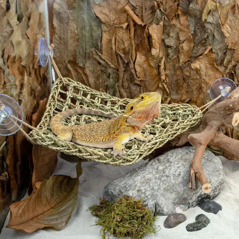 Cozy Bearded Dragon Hammock: Ultimate Lounger for Chameleons, Lizards, Geckos, Snakes, and Iguanas - Perfect Grass Cushion Pet Bed & Swing
