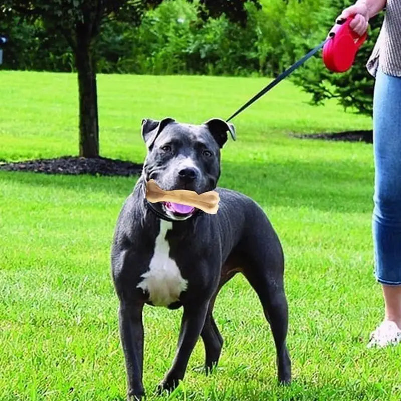 Irresistible Dog Teething Bone - Beef Flavor, Safe & Durable Chew Toy for Medium Dogs