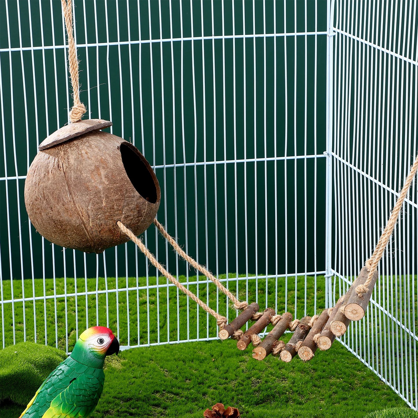 Coconut Cave Hideout for Reptiles - Cozy Ladder Accessory for Crested Geckos and Small Pets