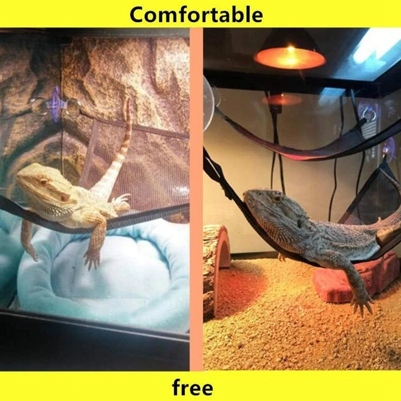 Ultimate Reptile Hammock Lounger Set for Bearded Dragons, Anoles, Geckos, and Snakes - Perfect for Small and Large Pets!