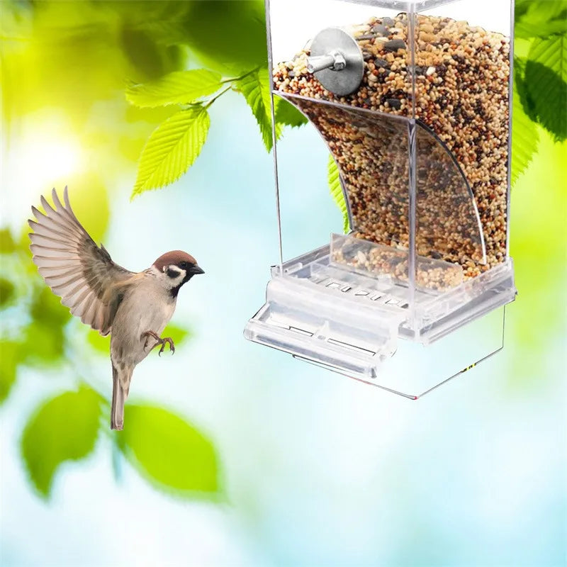 Automatic Acrylic No Mess Bird Feeders - Perfect Parrot Drinker & Food Container for Budgerigars and Parakeets