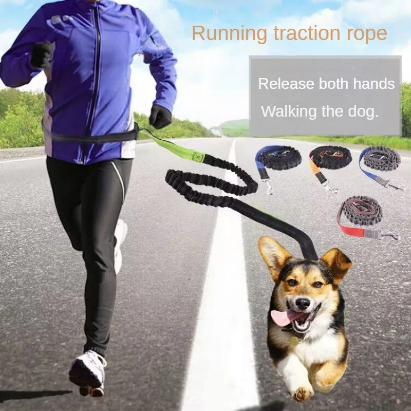Experience Ultimate Freedom with Our Adjustable Hands-Free Dog Leash - Perfect for Walking, Running, and Jogging!