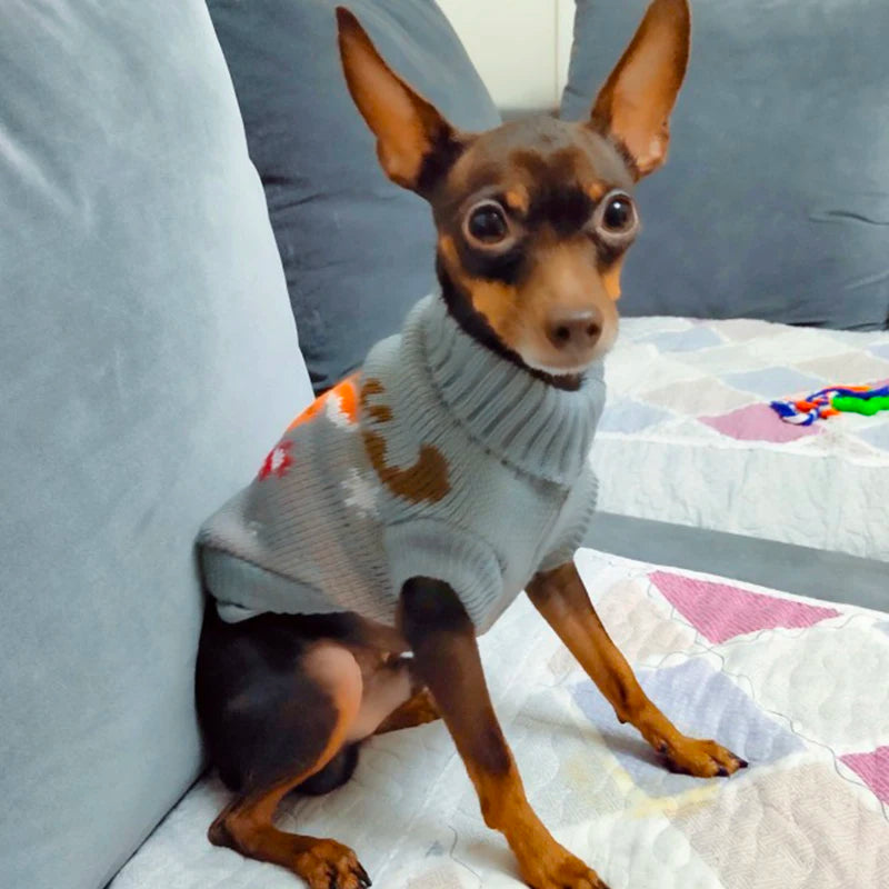 Cozy Cartoon Pet Dog Sweater for Small Dogs - Perfect for Winter Warmth and Style!