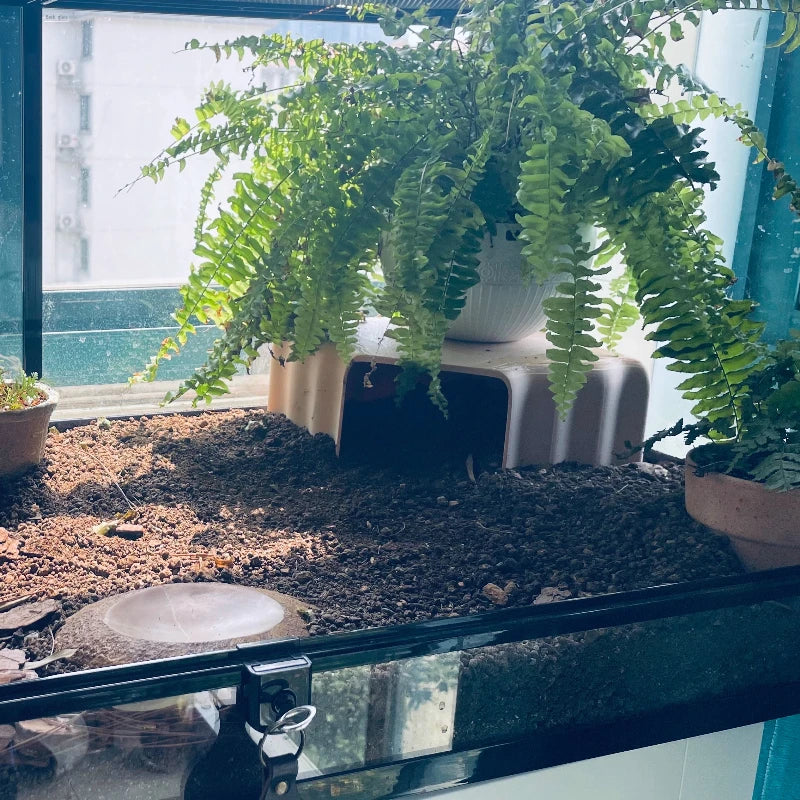 Discover the Ultimate 3D Printed Underground Cave Hideout for Your Lizards, Turtles, and Spiders - Perfect for Reptile Habitats and Aquariums!