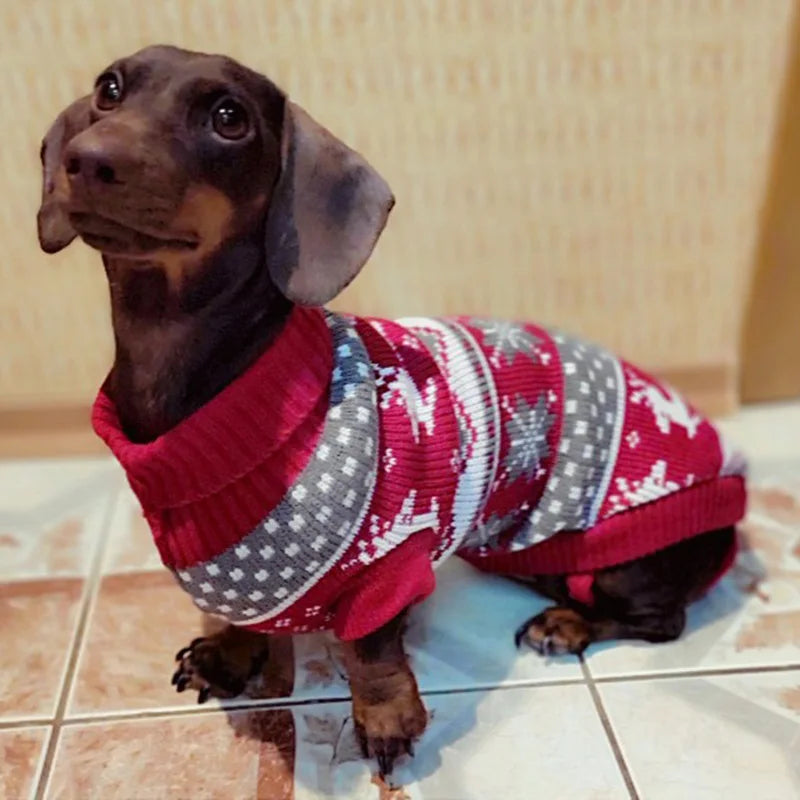 Cozy Cartoon Pet Dog Sweater for Small Dogs - Perfect for Winter Warmth and Style!